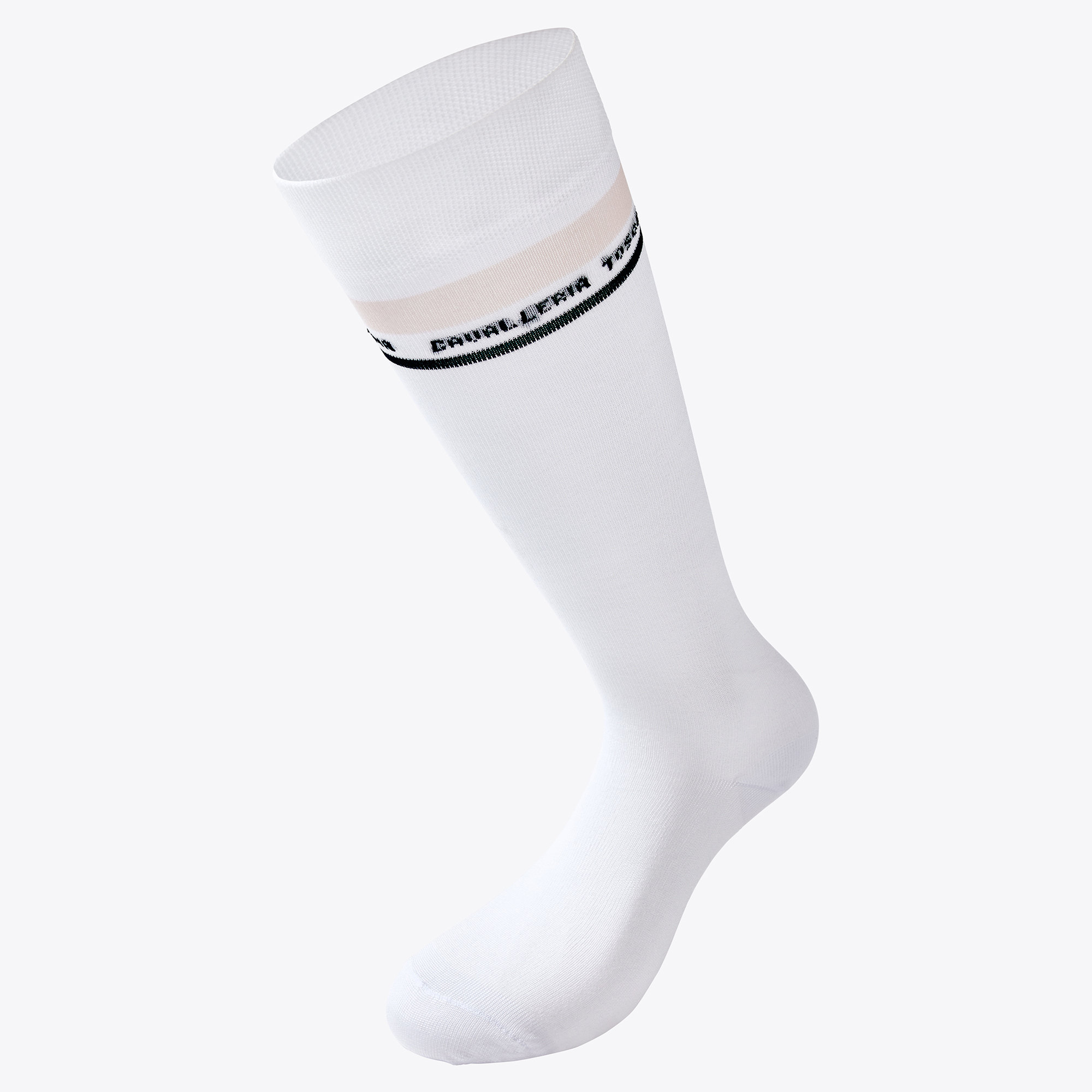양말_Embroidered CT Stripe Socks_WHITE